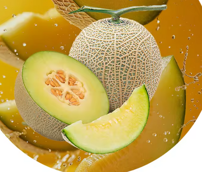 MagicShake Aroma(7li)